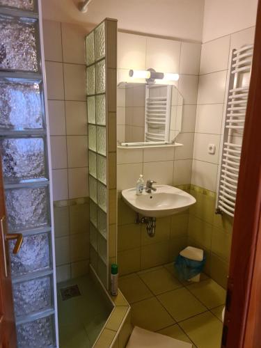 bagno con lavandino e specchio di Mediterrán Apartman és Vendégház a Hajdúszoboszló
