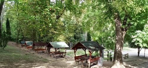 a row of benches in a park under a tree at Karancs Apartman Salgótarján in Salgótarján