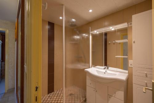 シャテルにあるLa rose des vents N 1のバスルーム(シャワー、シンク、鏡付)