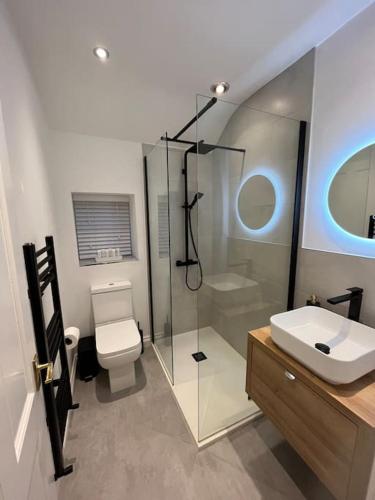 a bathroom with a toilet and a sink and a shower at Mount Cottage in Conwy