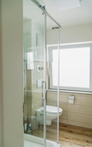 a bathroom with a toilet and a glass shower at Wohnen auf Zeit in Weingarten in Weingarten