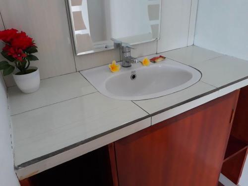 een badkamerbar met een wastafel en een spiegel bij One Homestay and Warung in Munduk