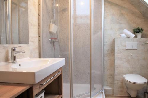 a bathroom with a shower and a sink and a toilet at Robby1 in Kaltenhof