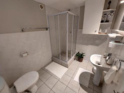 a bathroom with a shower and a toilet and a sink at 'Eye 2 SA' with exclusive pool access - Hout Bay in Cape Town