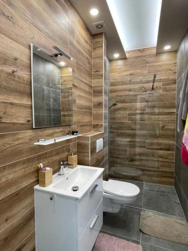 uma casa de banho com um lavatório branco e um WC. em Apartmán Plešivec u sjezdovky em Abertamy