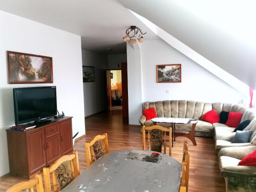 sala de estar con sofá y TV en Pokoje Gościnne Agnes, en Sanok