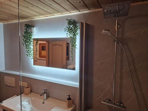 a bathroom with a mirror and a sink and a shower at Zum traumhaften Ausblick in Grainau