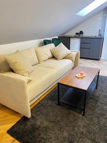 ein Wohnzimmer mit einer Couch und einem Couchtisch in der Unterkunft Izabelės apartamentai. Butas - studija in Palanga