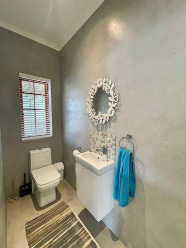 a bathroom with a toilet and a sink and a mirror at Living The Breede - Sanborg in Malgas