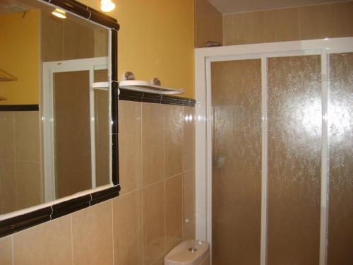 La salle de bains est pourvue d'une douche, de toilettes et d'un miroir. dans l'établissement Apartamentos Sanabria, à Galende
