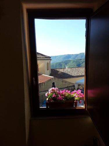 a window with a view of flowers on a balcony at Villa RosaMaria in San Chirico Raparo