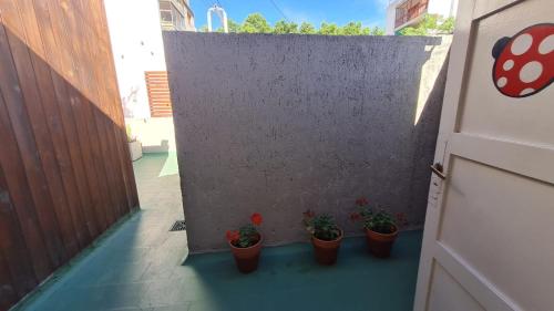 a door with three potted plants on a wall at Terracita /mini casa centrica in Mendoza