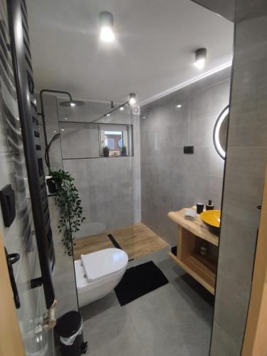 a bathroom with a white toilet and a sink at ROZETA SZCZYRK apartament przy Gondoli z sauną , jacuzzy, ogrodem i tarasem - dawniej U GAZDY in Szczyrk