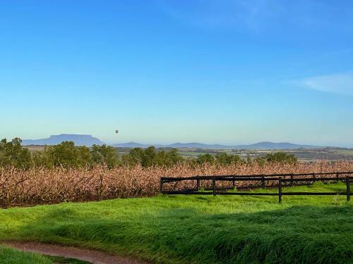 two benches sitting in the grass near a field at Bona Vista Self-Catering Accommodation in Klapmuts