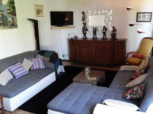 a living room with a couch and a tv at Vue sur Chateau et Loire in Saumur