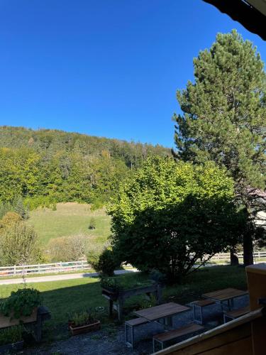 a view of a park with benches and a tree at Dorfpension Mariahilfberg in Gutenstein