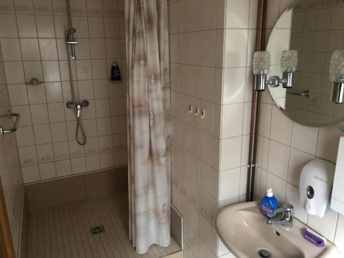 een badkamer met een douche en een wastafel bij Cozy Unterkunft im Spreewald nahe Tropical Islands in Golßen