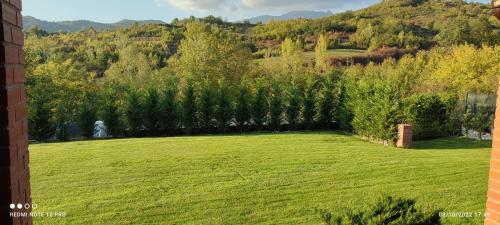 un cortile verde con prato e alberi di View Cozia a Călimăneşti