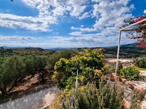 Gallery image of Forestata Village in Lixouri