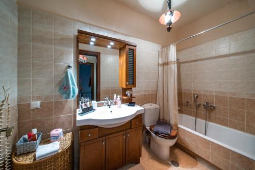 a bathroom with a sink and a toilet and a shower at Livadi cozy villa in Arachova