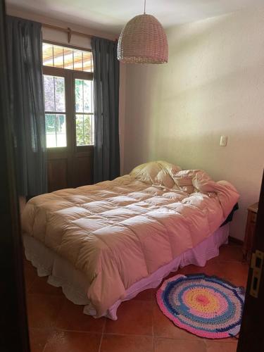 1 dormitorio con 1 cama en una habitación con ventana en Habitación en casa estilo campo en Luján de Cuyo