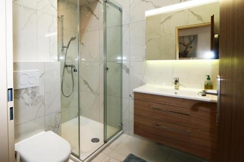 a bathroom with a shower and a toilet and a sink at Adora in Saas-Fee