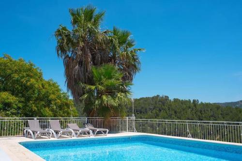 een zwembad met stoelen en een palmboom bij Villa Montgrau in Llano de Gorra