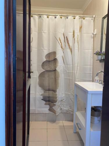 a bathroom with a shower curtain with a stack of rocks at Oasis del Sur in Puerto Madryn