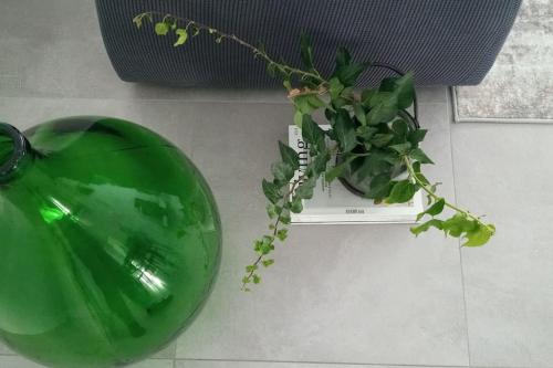 a green vase sitting next to a plant on a shelf at casa MEV è un attico in centro a Fiume Veneto in Fiume Veneto
