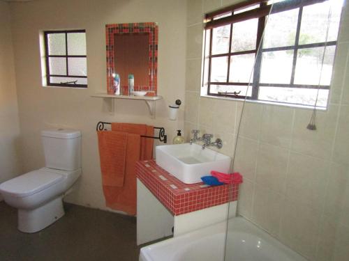 a bathroom with a white toilet and a sink at Mafube Mountain Retreat in Fouriesburg