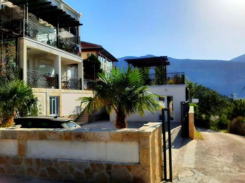 a building with a palm tree in front of it at Apartments Oktopus in Sutomore