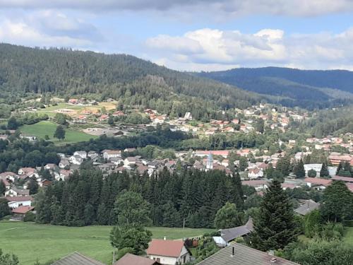 a small town in the middle of a mountain at Appartement du parc in Xonrupt-Longemer