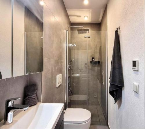 a bathroom with a shower and a toilet and a sink at Modernes Apartment Karlsruhe in Karlsruhe