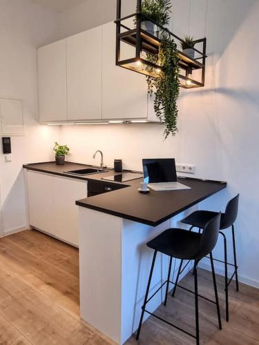 a kitchen with a island with a laptop on it at Modernes Apartment Karlsruhe in Karlsruhe