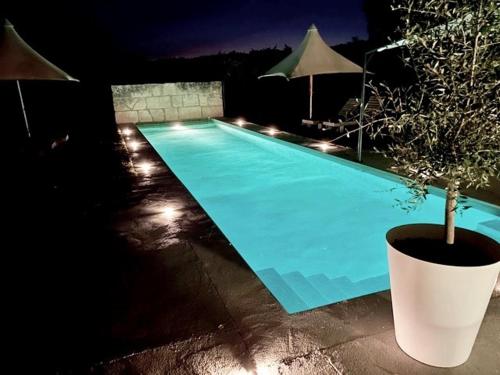 a swimming pool at night with a potted plant next to it at LASUITE Domaine Bertuli, heated Pool, Aircon in Oppède