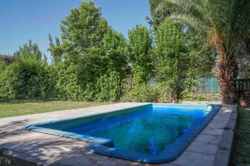 una piscina en un patio con árboles en Luminosa casa abrazada por el verde en Mendoza en Luján de Cuyo