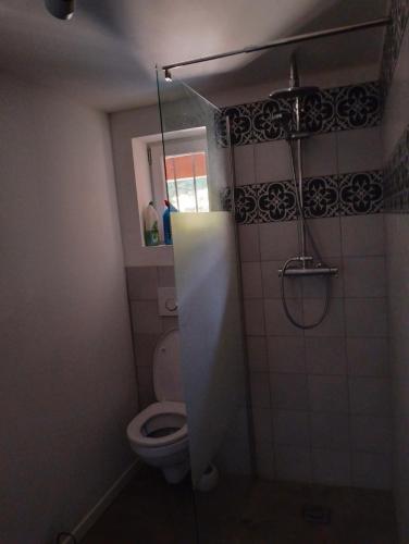 une petite salle de bain avec toilettes et douche dans l'établissement Appartement T2 au Cap Brun Toulon, à Toulon