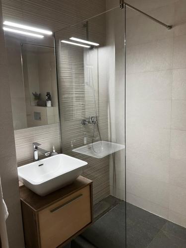 a bathroom with a sink and a glass shower at Inverno Apartments Bjelašnica in Bjelašnica