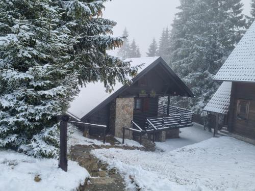 a cabin in the woods with snow on the ground at Apartment Bajta - Rogla in Zreče
