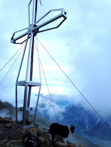 a dog standing next to a windmill on a mountain at Haus Greiner in Nauders
