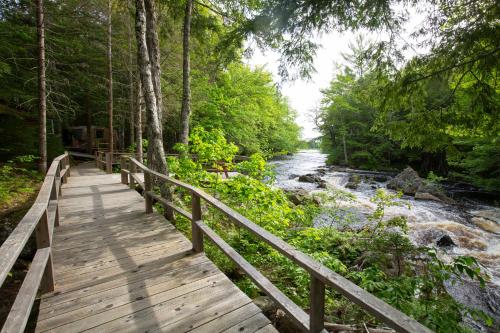 a wooden bridge over a river in the woods at Mersey River Chalets a nature retreat in Caledonia
