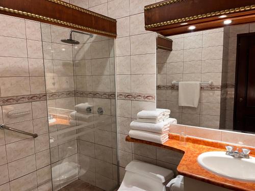 a bathroom with a shower and a toilet and a sink at Hotel Patio Andaluz in Quito