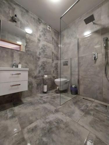 W łazience znajduje się przeszklony prysznic i toaleta. w obiekcie Willa u Polczyków w mieście Białka Tatrzanska