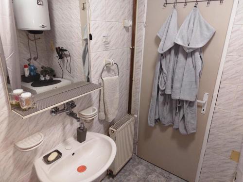 a small bathroom with a sink and a toilet at Stefan Apartman in Novi Sad
