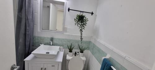 邁阿密海灘的住宿－邁阿密海灘海濱一室公寓，一间带水槽、卫生间和镜子的浴室