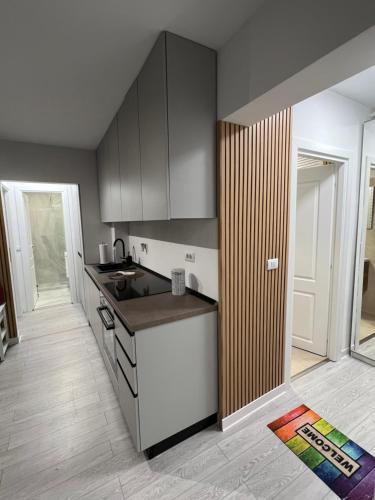 A kitchen or kitchenette at Oxana Apartments - 3 camere - Timisoara