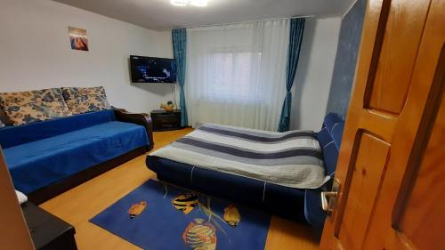 ein Wohnzimmer mit einem blauen Sofa und einem Fenster in der Unterkunft Casă de vacanţă ,,La Vălucu" in Curtea de Argeş