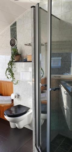 a bathroom with a toilet and a glass shower at Zee&Meer in Julianadorp