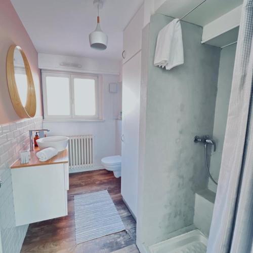 ein Bad mit einer Dusche, einem Waschbecken und einem WC in der Unterkunft Au perron avec garage et balcon à Ribeauville in Ribeauvillé