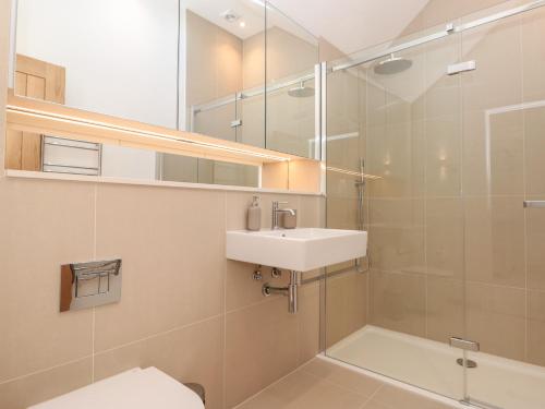 a bathroom with a sink and a toilet and a shower at 4 Court Terrace, Hillfield Village in Dartmouth